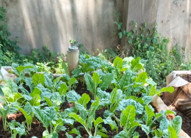 Environmental Sustainability and Climate Action